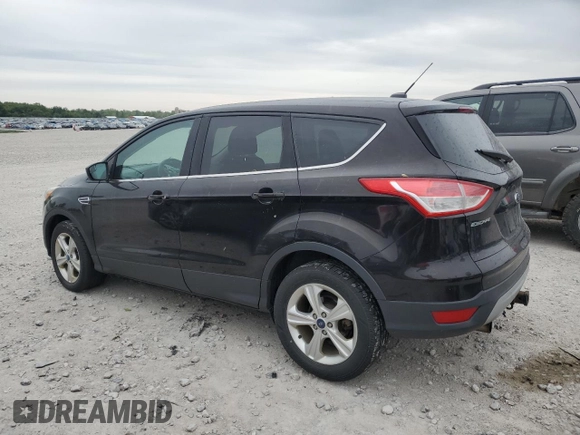 2013 Ford Escape SE with VIN 1FMCU0GX3DUB62509, listed as a Copart auction lot 57595155 with 134,253 mi miles and Clean title. Bid and sale history available at DreamBid. Image 2.