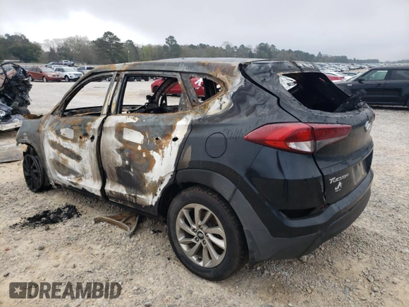 2017 Hyundai Tucson SE with VIN KM8J23A44HU455869, listed as a Copart auction lot 48906865 with Not Provided miles and Non Repairable. Bid and sale history available at DreamBid. Image 2.