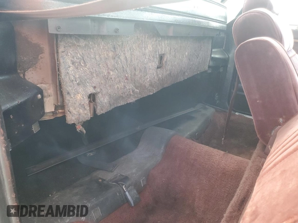 1982 Chevrolet El Camino z VIN 1GCCW80HXCR198571, wystawiony jako Copart lot #77004474 z przebiegiem 70 899 mil mil oraz Szkoda całkowita • Salvage title. Historia ofert i sprzedaży dostępna na DreamBid. Obrazek 10.