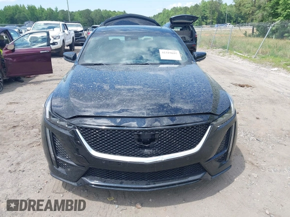 2024 Cadillac CT5 Sport z VIN 1G6DP5RK3R0127081, wystawiony jako IAAI lot #42319697 z przebiegiem 4 093 mil mil oraz . Historia ofert i sprzedaży dostępna na DreamBid. Obrazek 13.