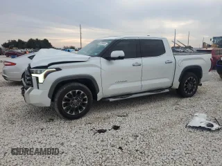 2022 Toyota Tundra 2WD Limited with VIN 5TFJA5ABXNX009687, listed as a Copart auction lot 83356634 with 19,110 mi miles and Salvage Title. Bid and sale history available at carsss.com. Image 1.