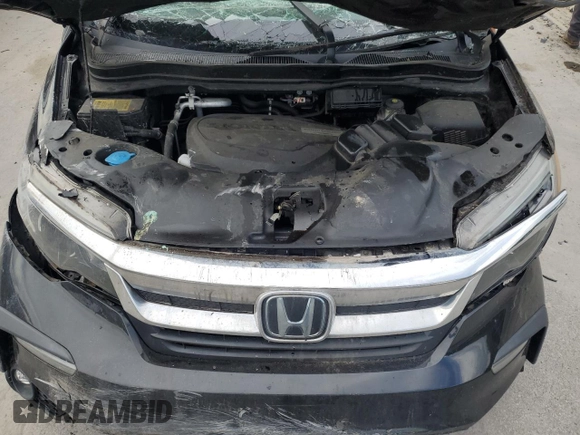 2019 Honda Pilot EX-L with VIN 5FNYF6H57KB062648, listed as a Copart auction lot 57566015 with Not provided miles and Salvage title. Bid and sale history available at DreamBid. Image 12.