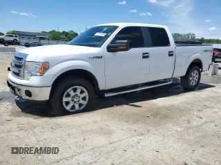 2013 Ford F-150 XL z VIN 1FTFW1EF8DFA22715, wystawiony jako Copart lot #57919985 z przebiegiem 243 124 mil mil oraz Szkoda całkowita • Salvage title. Historia ofert i sprzedaży dostępna na DreamBid. Obrazek 1.