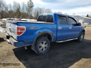 2010 Ford F-150 XL with VIN 1FTFW1EV9AFD59493, listed as a Copart auction lot 50614745 with 230,634 mi miles and Clean Title. Bid and sale history available at carsss.com. Image 3.