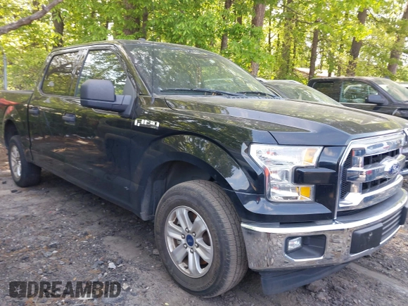 2017 Ford F-150 XL with VIN 1FTEW1CF0HFB67607, listed as a IAAI auction lot 42079218 with 128,148 mi miles. Bid and sale history available at carsss.com. Image 13.