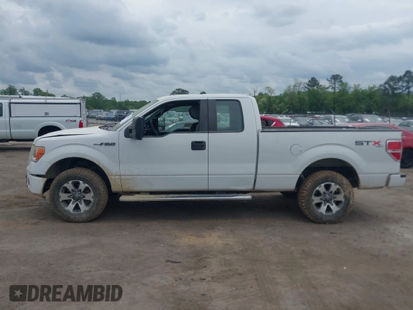 2013 Ford F-150 XL with VIN 1FTEX1EM1DFD75952, listed as a IAAI auction lot 42112875 with 171,472 mi miles and . Bid and sale history available at DreamBid. Image 14.
