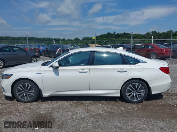 2019 Honda Accord with VIN 1HGCV3F10KA006296, listed as a IAAI auction lot 42768771 with 79,467 mi miles and . Bid and sale history available at DreamBid. Image 14.