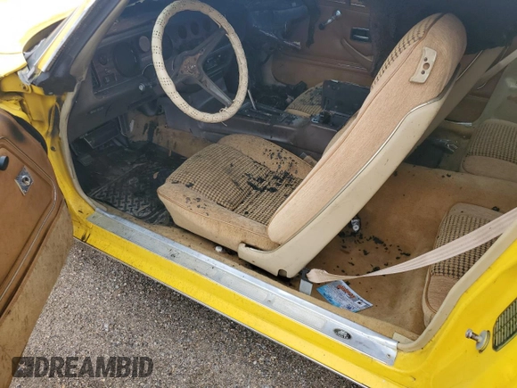 1981 Pontiac Firebird with VIN 1G2AT87S8BL140529, listed as a Copart auction lot 57791265 with Not provided miles and Salvage title. Bid and sale history available at DreamBid. Image 7.