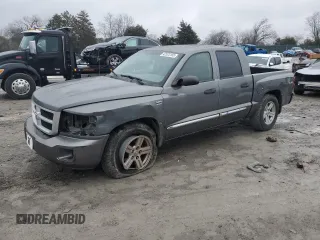 2010 Dodge Dakota Bighorn/Lonestar with VIN 1D7CW3GP5AS130822, listed as a Copart auction lot 42523155 with 103,081 mi miles and Salvage Title. Bid and sale history available at carsss.com. Image 1.