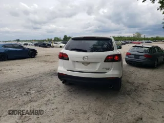 2013 Mazda CX-9 Touring z VIN JM3TB3CV9D0417100, wystawiony jako Copart lot #56569885 z przebiegiem 215 847 mil mil oraz Szkoda całkowita • Salvage title. Historia ofert i sprzedaży dostępna na DreamBid. Obrazek 6.