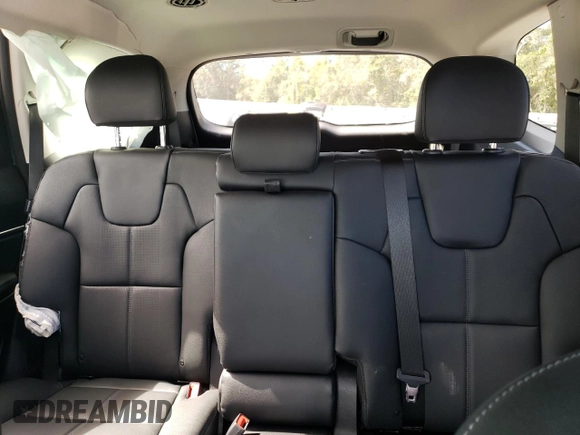 2024 Kia Telluride EX with VIN 5XYP3DGC1RG442032, listed as a Copart auction lot 75420063 with Not Provided miles and Non Repairable. Bid and sale history available at carsss.com. Image 10.