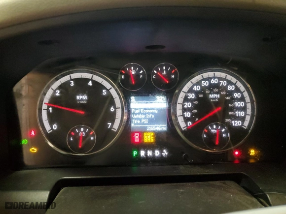 2010 Dodge Ram 1500 Sport with VIN 1D7RV1CT5AS128119, listed as a Copart auction lot 44921455 with 216,546 mi miles and Salvage Title. Bid and sale history available at carsss.com. Image 9.
