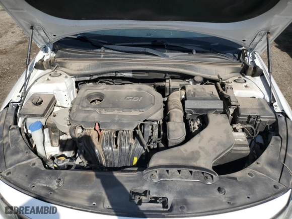 2019 Kia Optima S with VIN 5XXGT4L31KG293945, listed as a Copart auction lot 53371715 with 137,318 mi miles and Salvage Title. Bid and sale history available at carsss.com. Image 11.