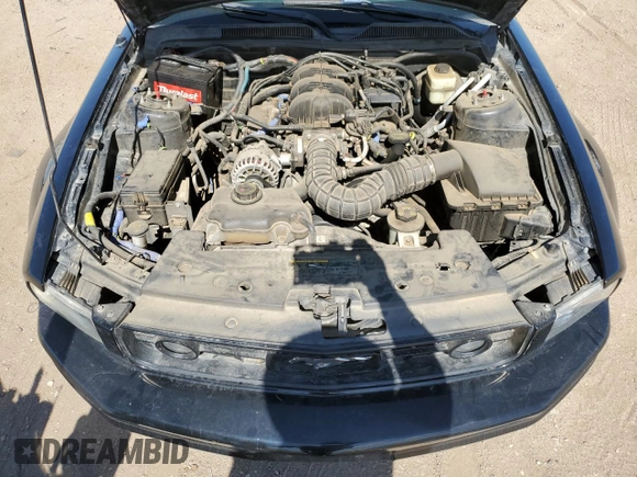 2008 Ford Mustang Deluxe with VIN 1ZVHT80N685103553, listed as a Copart auction lot 63146695 with 156,645 mi miles and Clean title. Bid and sale history available at DreamBid. Image 11.