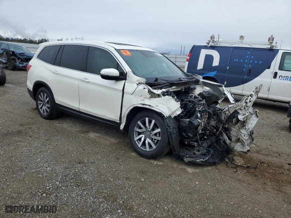 2019 Honda Pilot EX-L with VIN 5FNYF5H56KB006632, listed as a Copart auction lot 49502965 with 0 mi miles and Salvage Title. Bid and sale history available at carsss.com. Image 4.