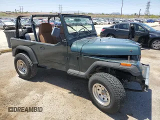 1994 Jeep Wrangler S with VIN 1J4FY19P7RP437520, listed as a Copart auction lot 57447085 with 124,023 mi miles and Salvage title. Bid and sale history available at DreamBid. Image 4.