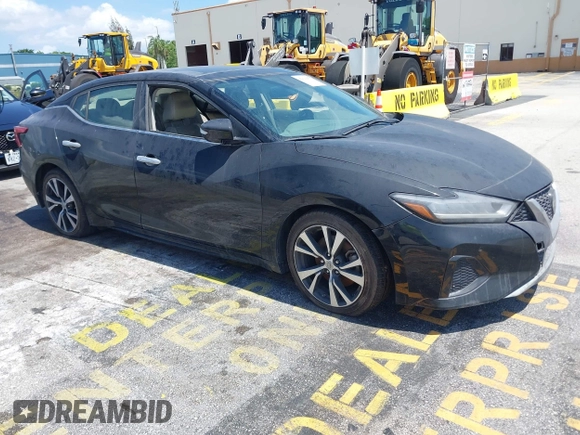 2019 Nissan Maxima Platinum z VIN 1N4AA6AV8KC366407, wystawiony jako IAAI lot #42329455 z przebiegiem 34 518 mil mil oraz . Historia ofert i sprzedaży dostępna na DreamBid. Obrazek 1.
