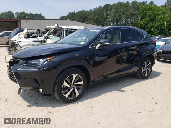 2019 Lexus NX 300h with VIN JTJBJRBZ3K2104833, listed as a Copart auction lot 60266395 with 109,030 mi miles and Salvage title. Bid and sale history available at DreamBid. Image 1.