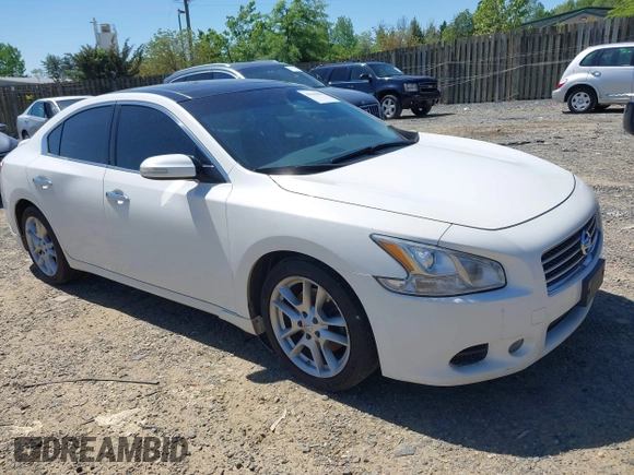 2010 Nissan Maxima 3.5 SV w/Premium Pkg with VIN 1N4AA5AP0AC864580, listed as a IAAI auction lot 42142007 with 186,845 mi miles. Bid and sale history available at carsss.com. Image 1.
