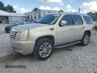 2007 Cadillac Escalade z VIN 1GYFK63827R260277, wystawiony jako Copart lot #54665815 z przebiegiem 206 441 mil mil oraz Tytuł czysty. Historia ofert i sprzedaży dostępna na DreamBid. Obrazek 1.