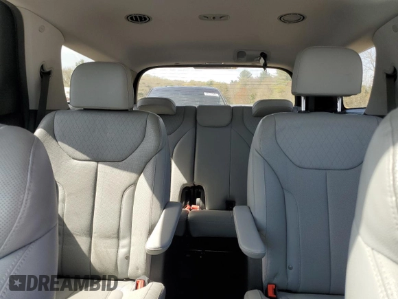 2020 Hyundai Palisade SEL with VIN KM8R4DHE4LU150995, listed as a Copart auction lot 53792915 with 44,181 mi miles and Salvage title. Bid and sale history available at DreamBid. Image 10.