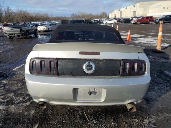 2006 Ford Mustang GT Deluxe with VIN 1ZVHT85H665218024, listed as a Copart auction lot 43781385 with 176,560 mi miles and Salvage Title. Bid and sale history available at carsss.com. Image 6.