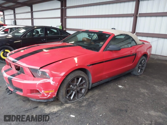 2011 Ford Mustang V6 with VIN 1ZVBP8EM0B5102190, listed as a IAAI auction lot 41082218 with 140,724 mi miles and . Bid and sale history available at DreamBid. Image 14.