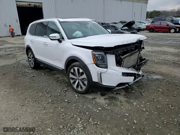 2021 Kia Telluride S with VIN 5XYP6DHC2MG175269, listed as a Copart auction lot 46350255 with 0 mi miles and Salvage Title. Bid and sale history available at carsss.com. Image 14.