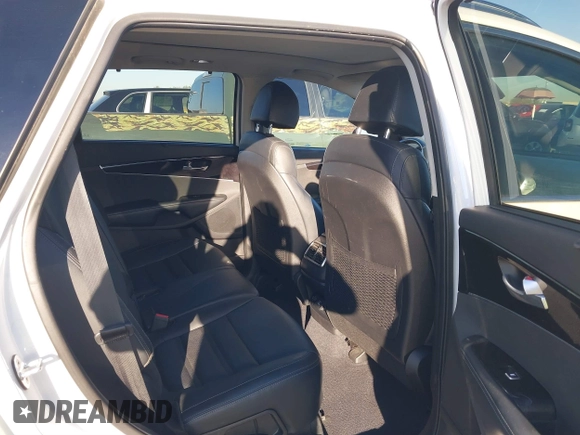 2018 Kia Sorento EX with VIN 5XYPHDA5XJG427027, listed as a IAAI auction lot 41609060 with 191,341 mi miles and . Bid and sale history available at DreamBid. Image 8.