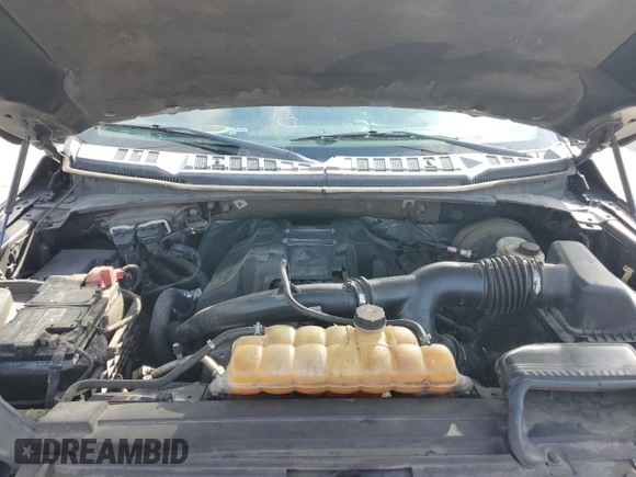 2015 Ford F-150 XL with VIN 1FTEW1CP9FFB87506, listed as a Copart auction lot 60052325 with 262,205 mi miles and Salvage title. Bid and sale history available at DreamBid. Image 11.