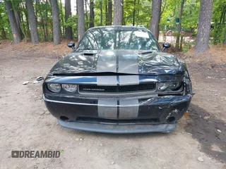 2013 Dodge Challenger SXT z VIN 2C3CDYAG2DH632743, wystawiony jako IAAI lot #42201981 z przebiegiem 154 018 mil mil oraz . Historia ofert i sprzedaży dostępna na DreamBid. Obrazek 13.