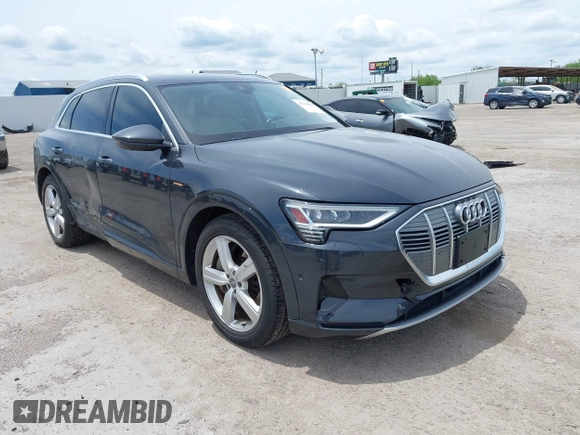 2019 Audi e-tron Premium Plus with VIN WA1LABGE6KB012565, listed as a IAAI auction lot 42220663 with 48,804 mi miles and . Bid and sale history available at DreamBid. Image 1.