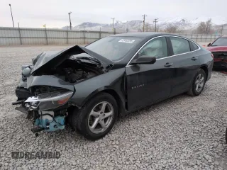 2017 Chevrolet Malibu LS with VIN 1G1ZB5ST5HF209614, listed as a Copart auction lot 42453395 with Not Provided miles and Salvage Title. Bid and sale history available at DreamBid. Image 1.
