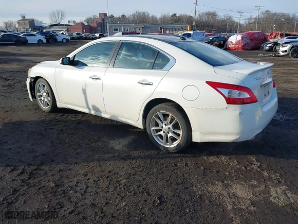 2010 Nissan Maxima 3.5 SV w/Premium Pkg with VIN 1N4AA5APXAC804113, listed as a IAAI auction lot 41586068 with 127,134 mi miles. Bid and sale history available at carsss.com. Image 3.
