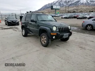 2002 Jeep Liberty Limited with VIN 1J4GL58K52W220933, listed as a Copart auction lot 49211765 with 189,095 mi miles and Salvage title. Bid and sale history available at DreamBid. Image 12.