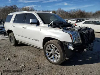 2020 Cadillac Escalade Premium Luxury with VIN 1GYS4CKJ2LR143417, listed as a Copart auction lot 80846294 with 79,568 mi miles and Salvage Title. Bid and sale history available at carsss.com. Image 4.