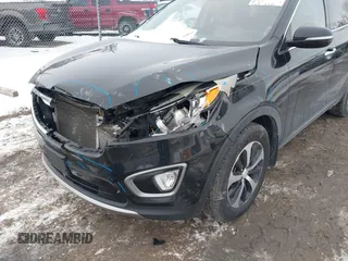 2016 Kia Sorento EX with VIN 5XYPH4A1XGG023621, listed as a IAAI auction lot 41583266 with 123,039 mi miles. Bid and sale history available at carsss.com. Image 6.