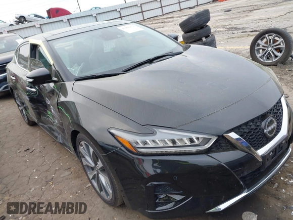 2023 Nissan Maxima Platinum with VIN 1N4AA6FV0PC509933, listed as a IAAI auction lot 41922872 with 11,478 mi miles and . Bid and sale history available at DreamBid. Image 1.
