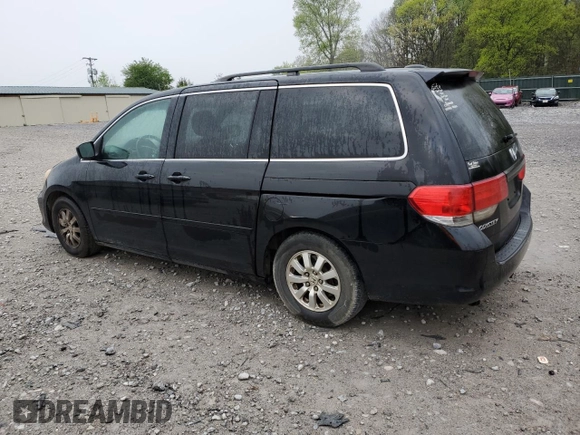 2010 Honda Odyssey EX-L with VIN 5FNRL3H69AB020372, listed as a Copart auction lot 52145125 with 224,098 mi miles and Clean Title. Bid and sale history available at carsss.com. Image 2.