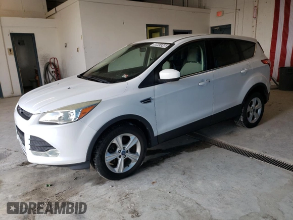 2014 Ford Escape SE with VIN 1FMCU9GX1EUC89538, listed as a Copart auction lot 50843345 with 96,455 mi miles and Clean Title. Bid and sale history available at carsss.com. Image 1.