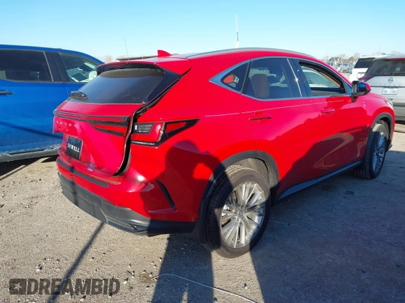 2025 Lexus NX 350 Luxury with VIN 2T2HGCEZ4SC065851, listed as a IAAI auction lot 41063792 with 1,061 mi miles and . Bid and sale history available at DreamBid. Image 4.