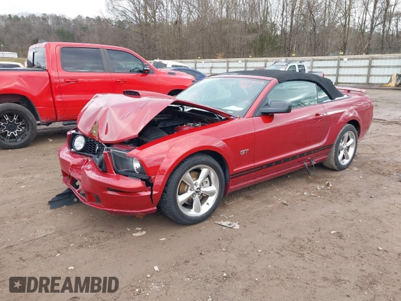 2008 Ford Mustang GT Deluxe with VIN 1ZVHT85H585146235, listed as a IAAI auction lot 41277038 with 138,033 mi miles and . Bid and sale history available at DreamBid. Image 17.