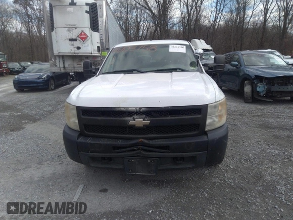 2010 Chevrolet Silverado 1500 with VIN 1GCSKPE31AZ229573, listed as a IAAI auction lot 41203758 with 128,175 mi miles and . Bid and sale history available at DreamBid. Image 13.