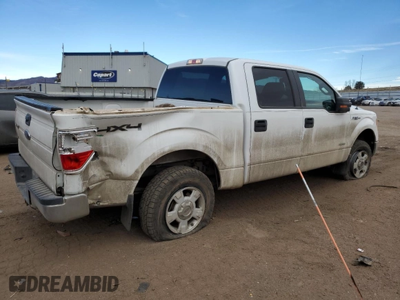 2014 Ford F-150 XL with VIN 1FTFW1ET2EFB47717, listed as a Copart auction lot 49323155 with 141,969 mi miles and Salvage title. Bid and sale history available at DreamBid. Image 3.