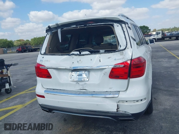 2014 Mercedes-Benz GL-Class GL 450 with VIN 4JGDF7CE0EA298157, listed as a IAAI auction lot 42094478 with 202,424 mi miles. Bid and sale history available at carsss.com. Image 15.