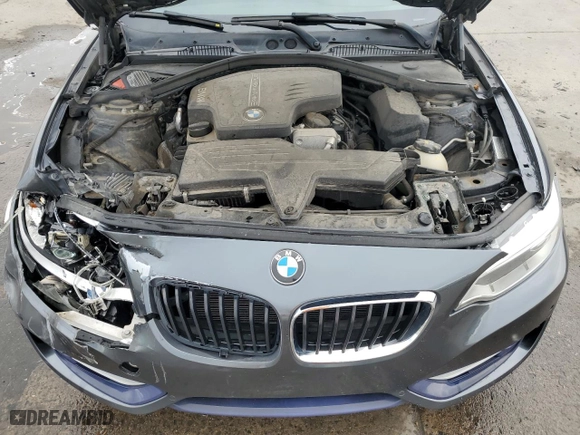 2016 BMW 2 Series 228i with VIN WBA1F9C54GV544414, listed as a Copart auction lot 49633265 with 88,985 mi miles and Salvage Title. Bid and sale history available at carsss.com. Image 11.