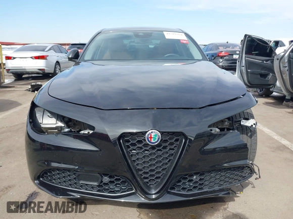 2021 Alfa Romeo Giulia z VIN ZARFAMAN1M7648894, wystawiony jako IAAI lot #41589364 z przebiegiem 22 381 mil mil oraz . Historia ofert i sprzedaży dostępna na DreamBid. Obrazek 13.