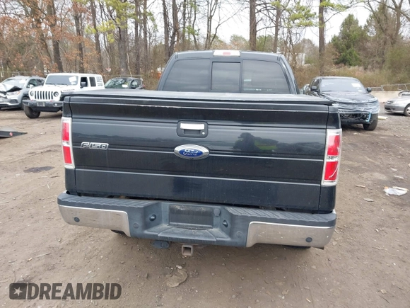 2013 Ford F-150 XL with VIN 1FTFW1ET4DFB13826, listed as a IAAI auction lot 42010957 with 209,848 mi miles. Bid and sale history available at carsss.com. Image 16.