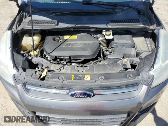 2013 Ford Escape SE with VIN 1FMCU0GX9DUB80240, listed as a Copart auction lot 50087125 with 175,551 mi miles and Clean Title. Bid and sale history available at DreamBid. Image 12.