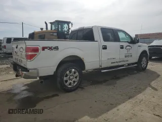 2013 Ford F-150 XL with VIN 1FTFW1EF9DKE66144, listed as a Copart auction lot 58134795 with 150,726 mi miles and Salvage title. Bid and sale history available at DreamBid. Image 3.